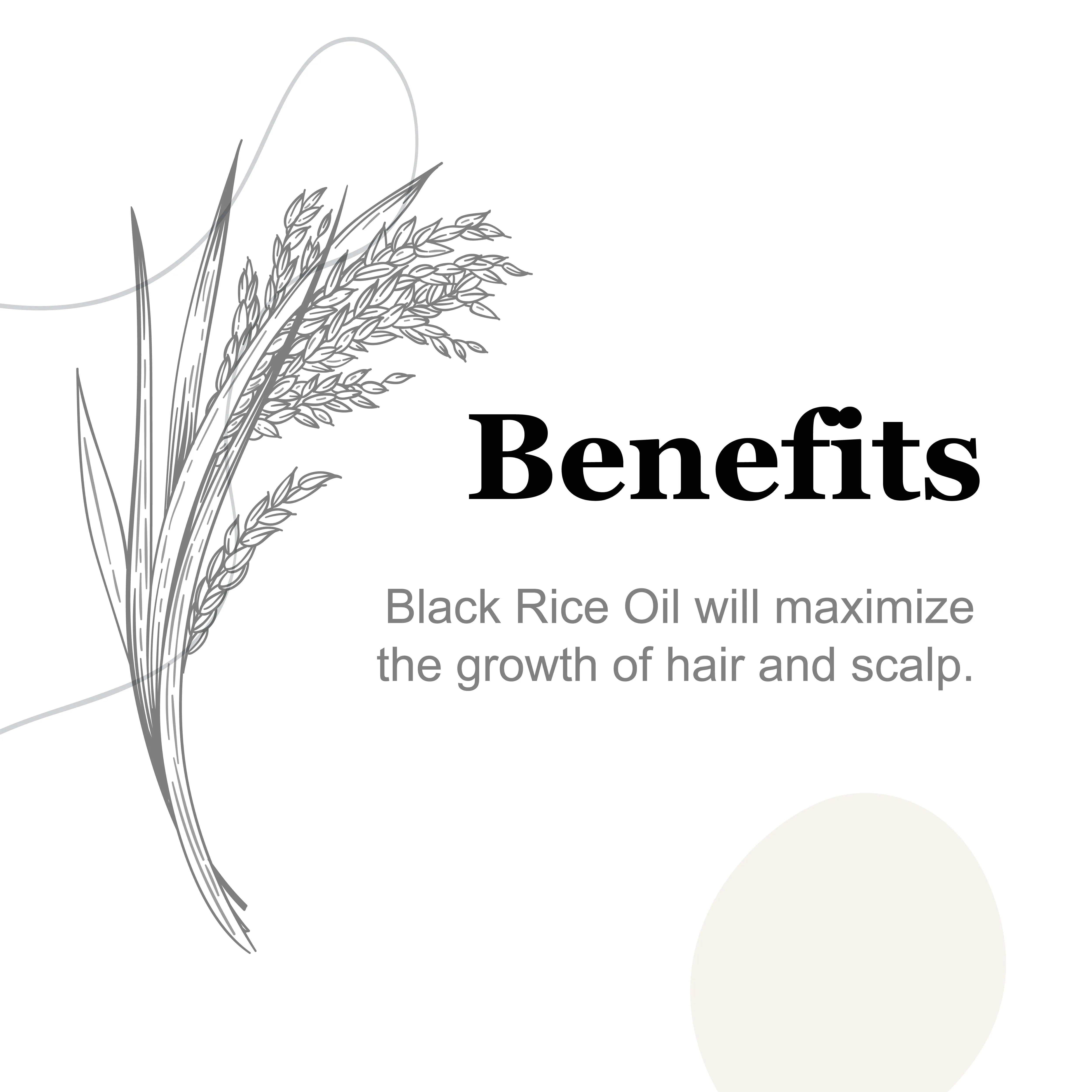 Black Rice Ayurvedic Hair Oil 2oz