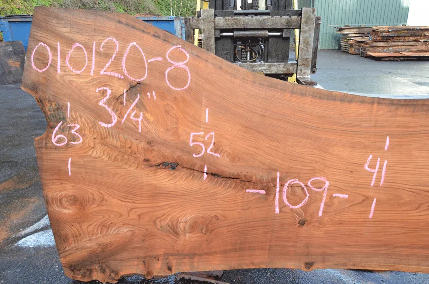 Elm Slab 010120-08