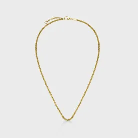 Essentielle Double Link Chain Necklace, Gold Colour