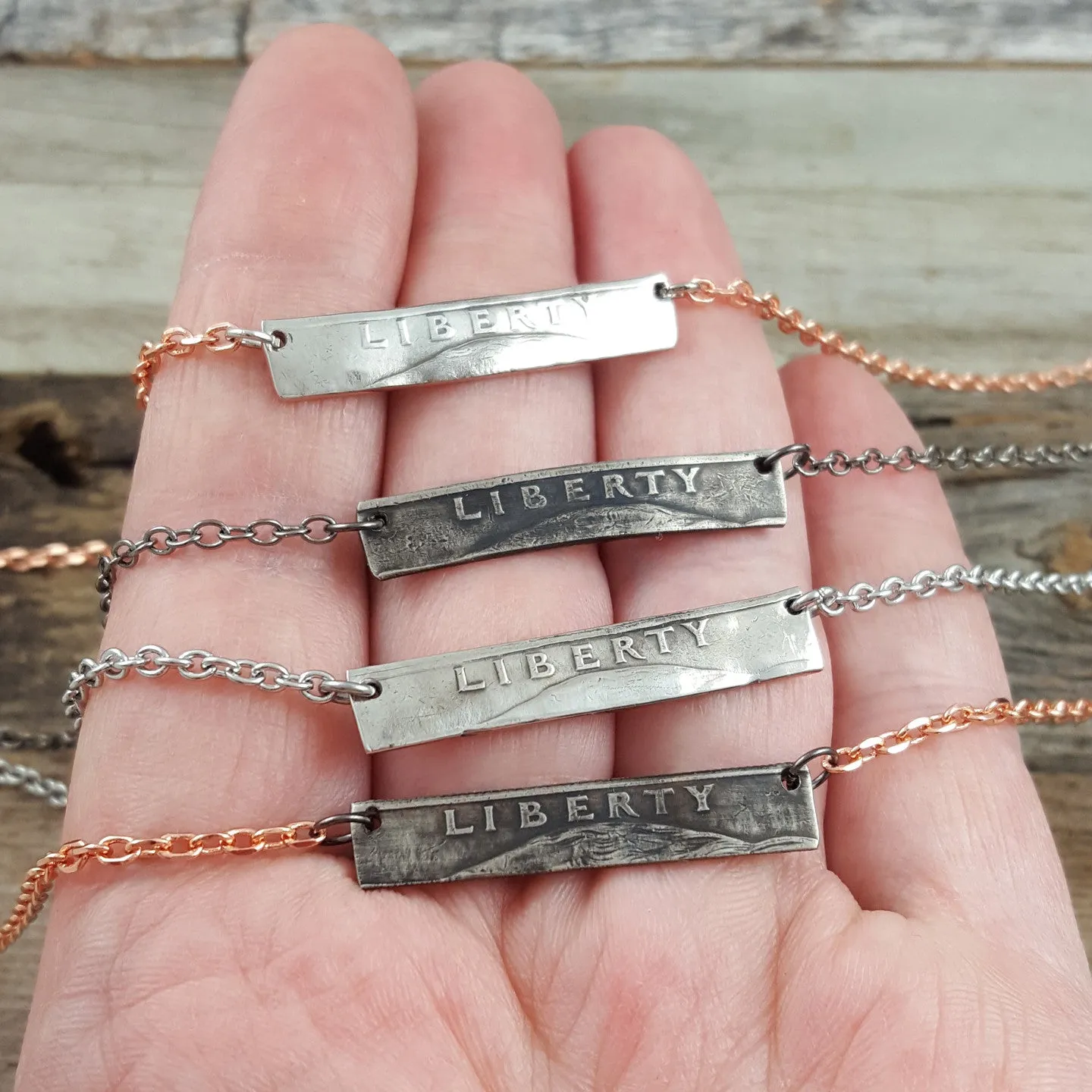 Liberty Quarter Coin Bar Necklace